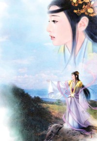 毛绒小兔饲养指南